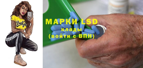 эйфоретик Вяземский