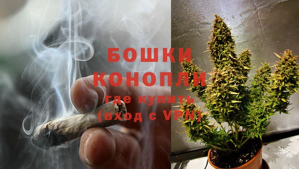 гидропоника Вязьма