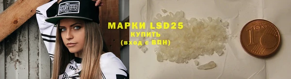эйфоретик Вяземский