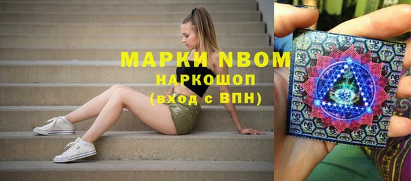 эйфоретик Вяземский