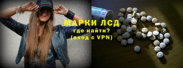 эйфоретик Вяземский