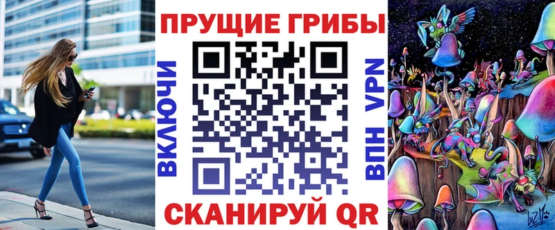 Псилоцибиновые грибы Psilocybe  Купить закладки  Арсеньев 